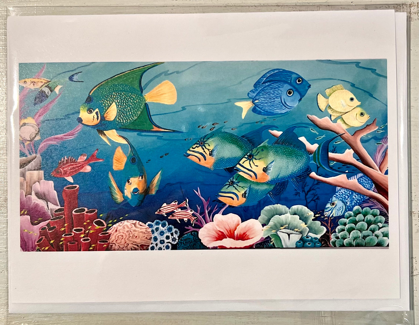 Greeting Card Caribbean Reef by Isabelle Picard - Pack of 5 cards