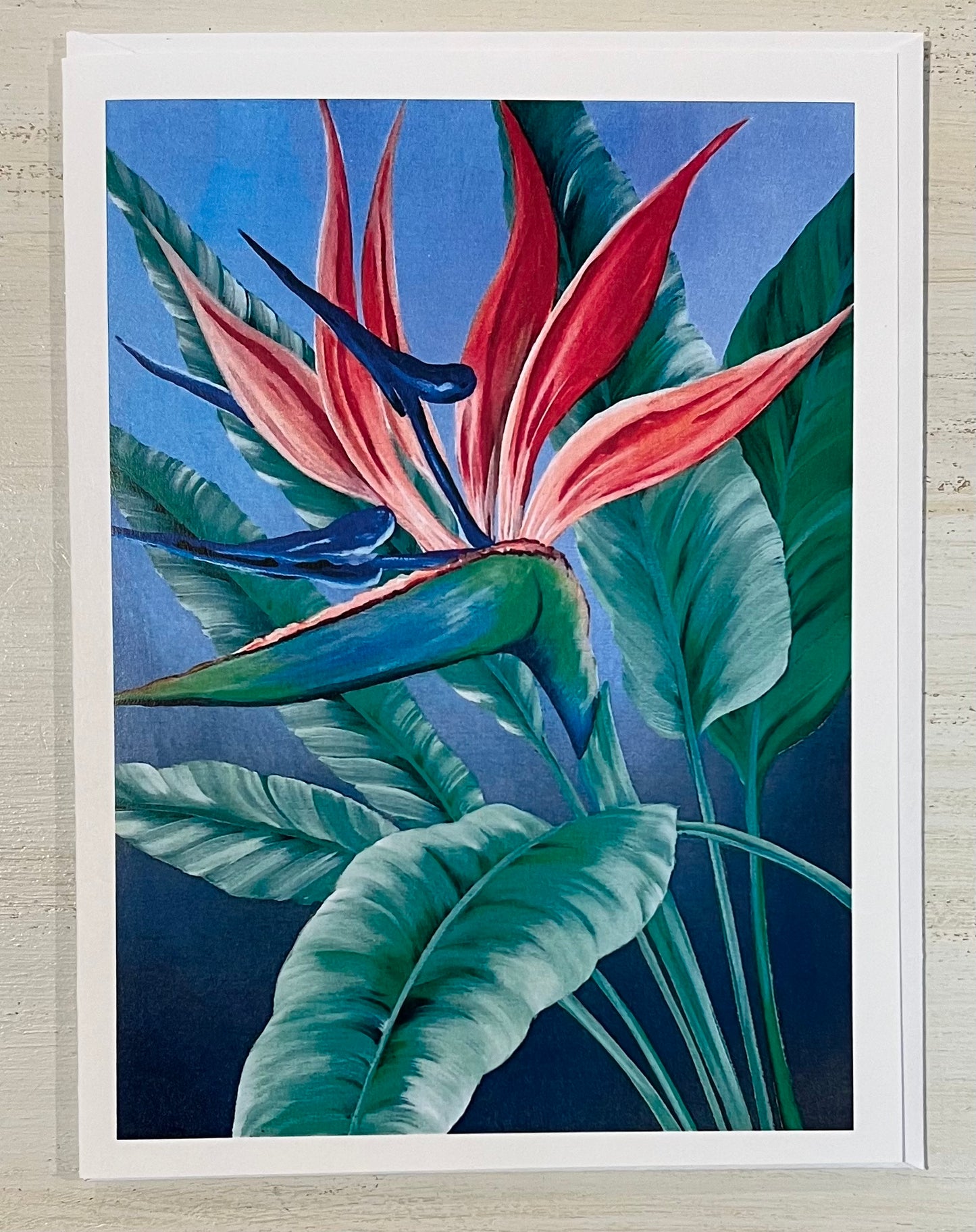 Greeting Card by Isabelle Picard Bird of Paradise - Pack of 5 cards