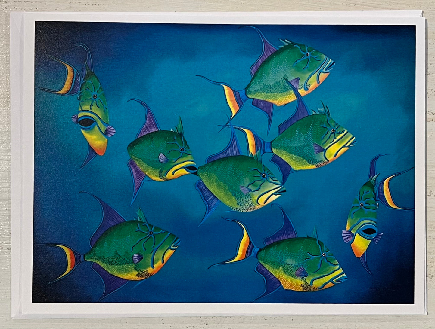 Greeting Card by Isabelle Picard Trigger Fish - Pack of 5 cards