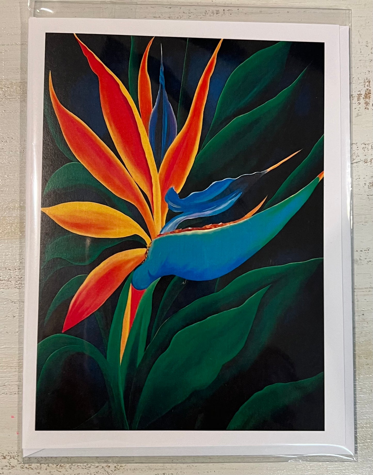 Greeting Card by Isabelle Picard Tropical Bird of Paradise - Pack of 5 cards